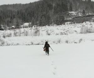 #91 – La neige faisait un tapis