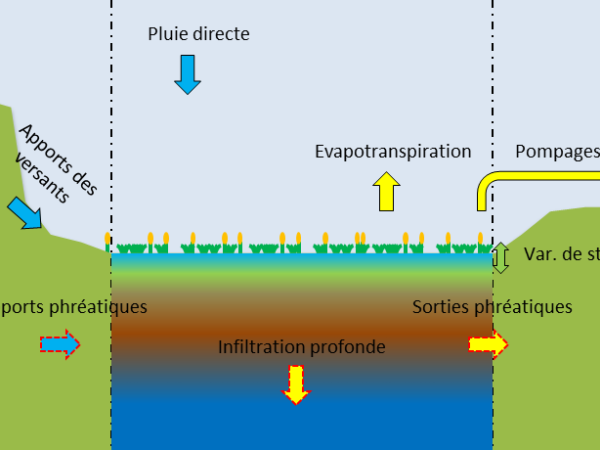 HYDROLOGIE   Bilan Hydrique