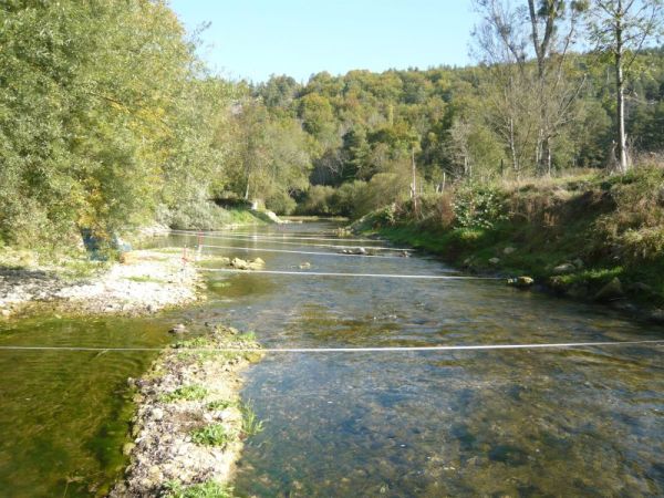 SEINE   IAM
