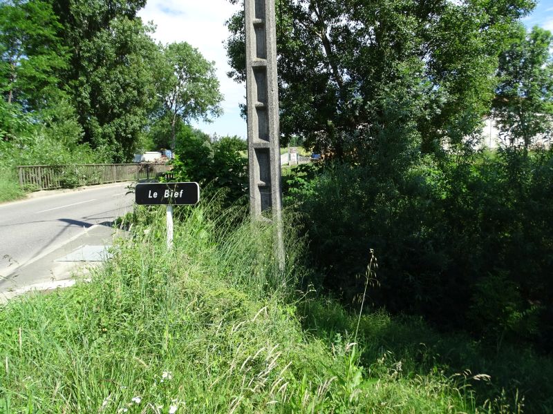 Abereau
