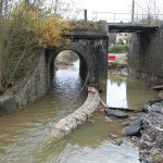 La Brévenne en crue