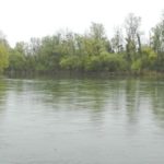 Panorama du cours d'eau étudié par notre bureau d'étude en géomorphologie fluviale