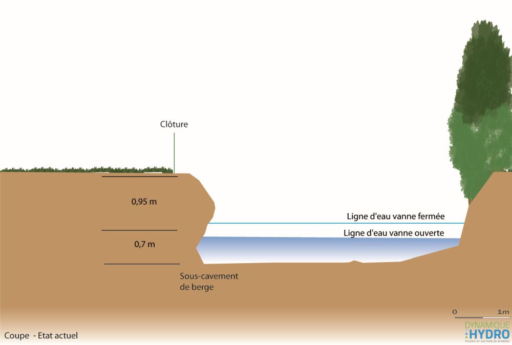 Coupe niveau esquisse du projet de protection de berges