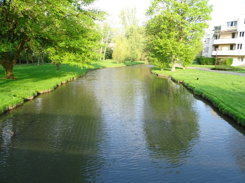 Reyssouze : la rivière qui traverse le parc des Baudières à Bourg-en-Bresse. Les berges sont gazonnées et bordées d'arbres.
