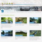 Imprimécran de notre ancien site internet de 2010